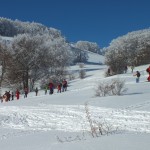 escursioni