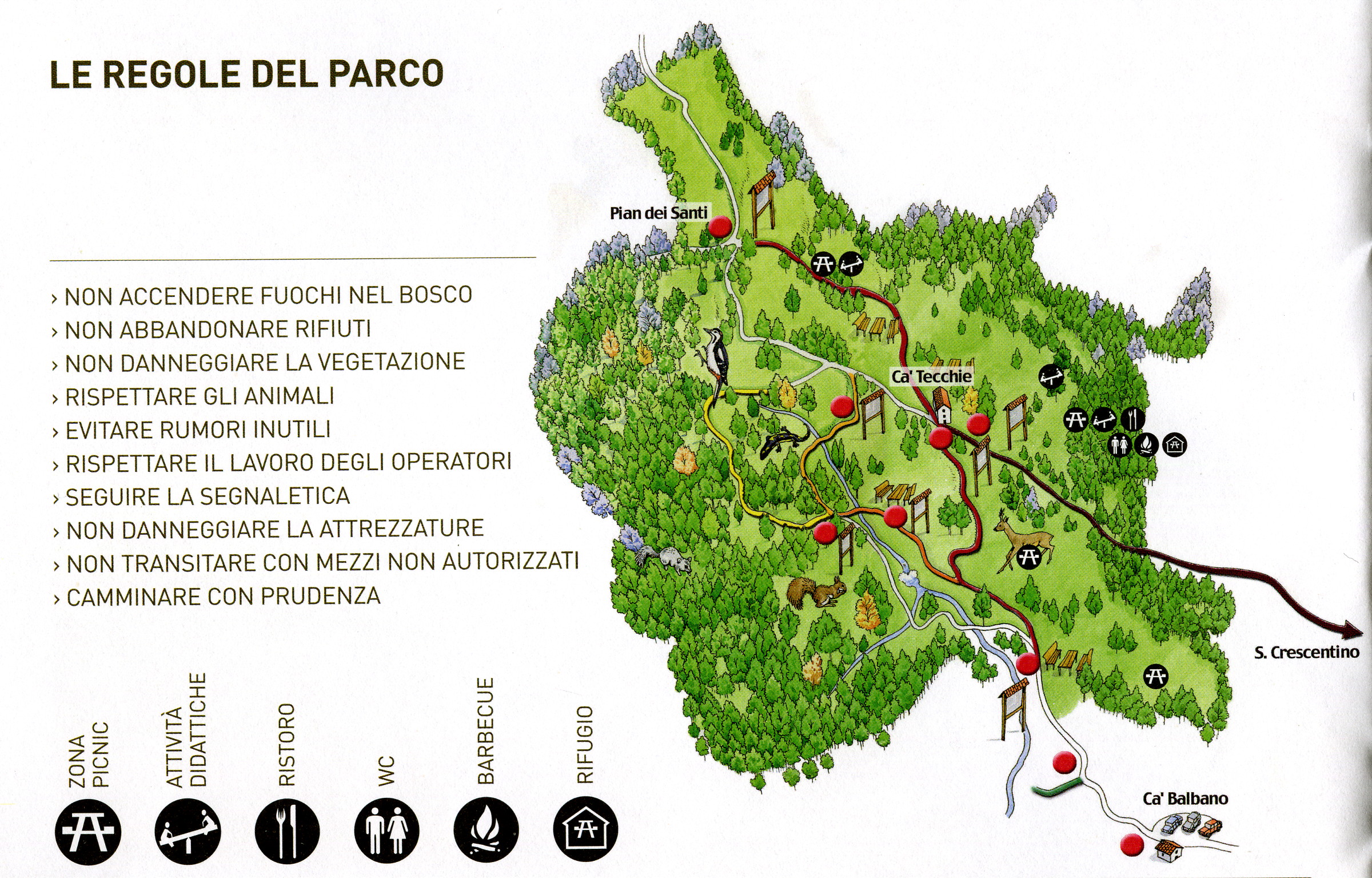 bosco di teche