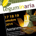leguminaria