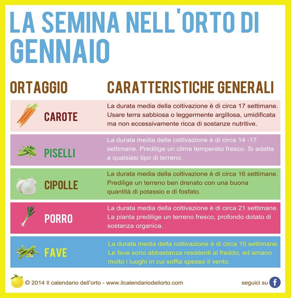 orto