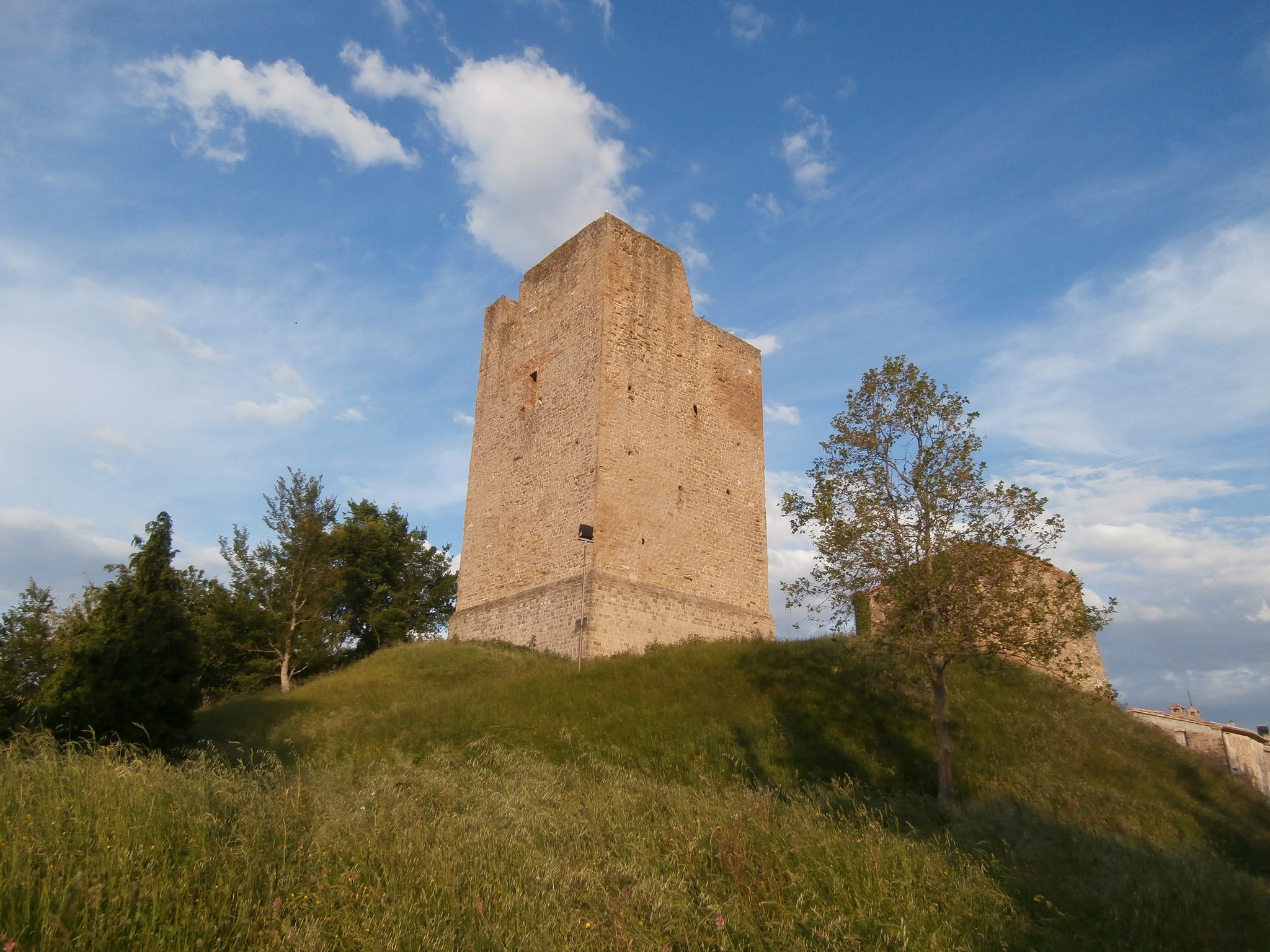 pierluigitomassetti