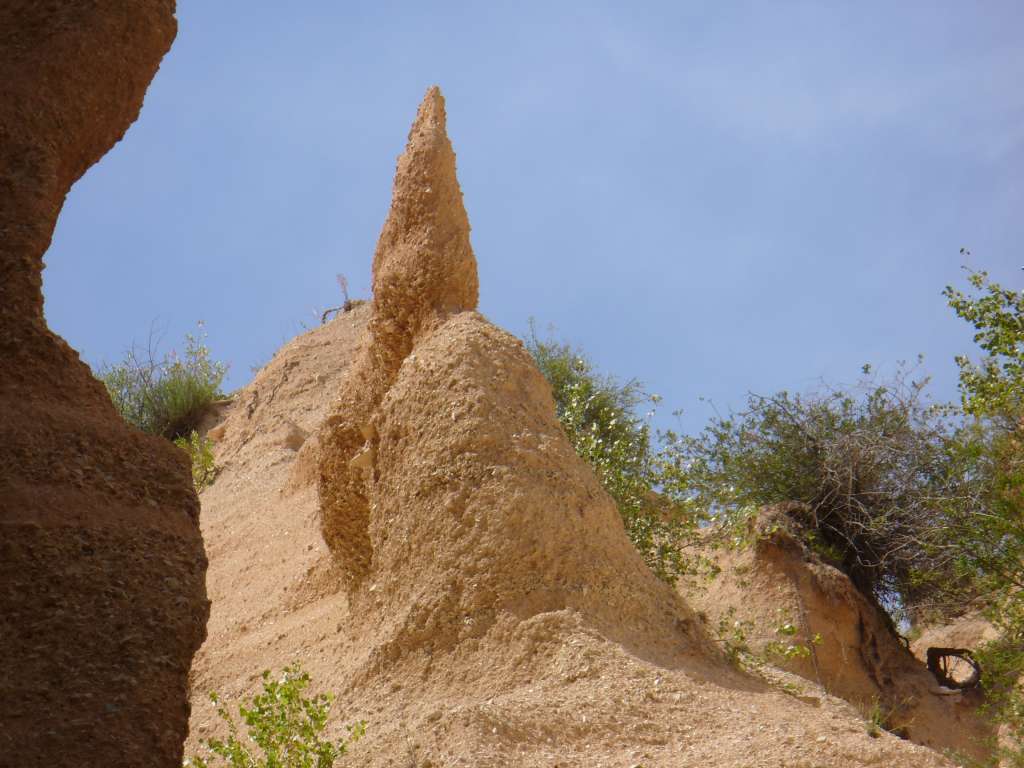 Lame Rosse