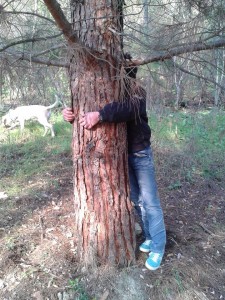 albero_riky