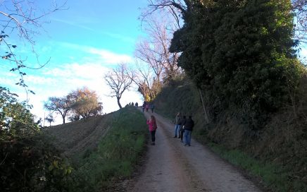 rural Marche