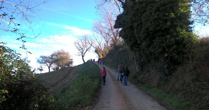 rural Marche