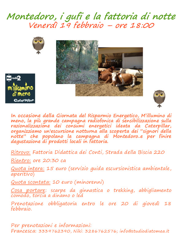 02-19-montedoro-gufi-fattoria-notte