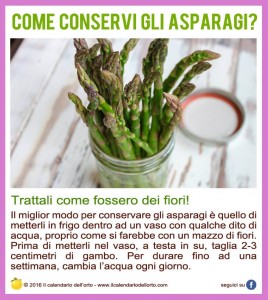asparagi