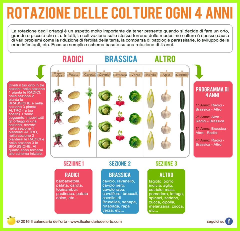 rotazioni_colture