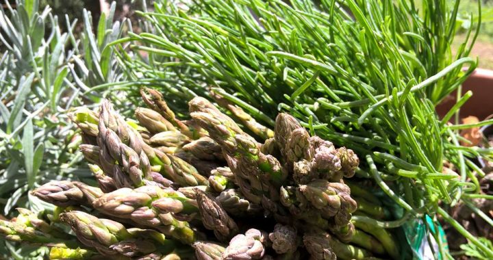 asparagi e agretti