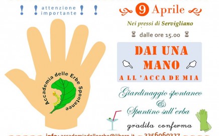 giardinaggio spontaneo