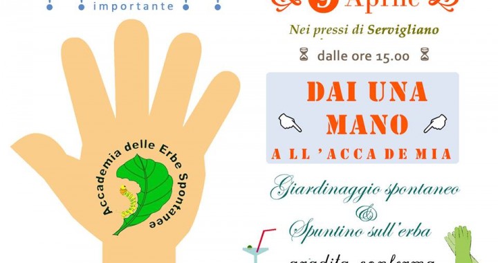 giardinaggio spontaneo