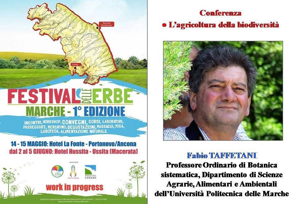 festival delle erbe Marche
