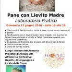 pane lievito madre