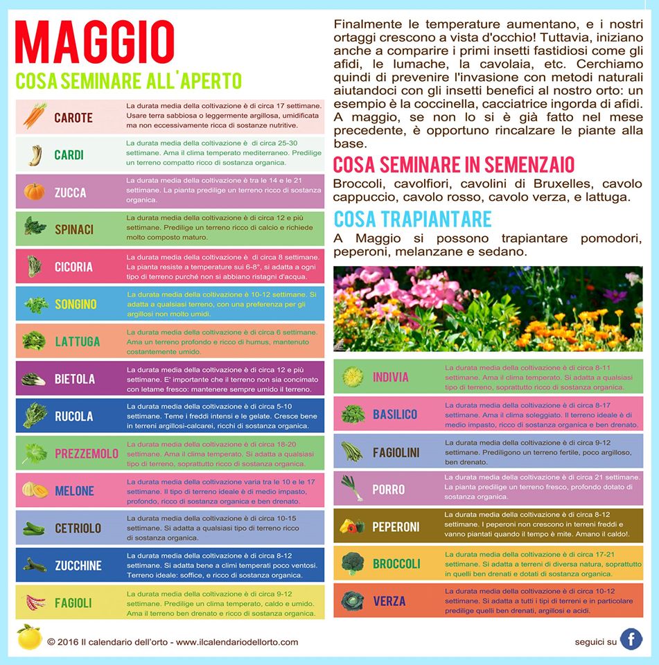 maggio lavori nell'orto