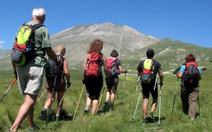 nordic walking