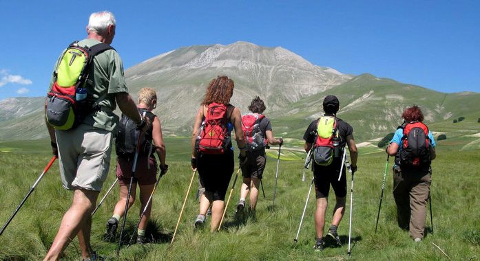 nordic walking