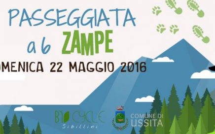 passeggiate a sei zampe