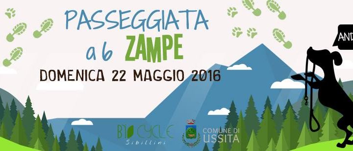 passeggiate a sei zampe