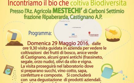 aziende biologiche
