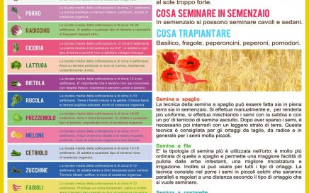 giugno