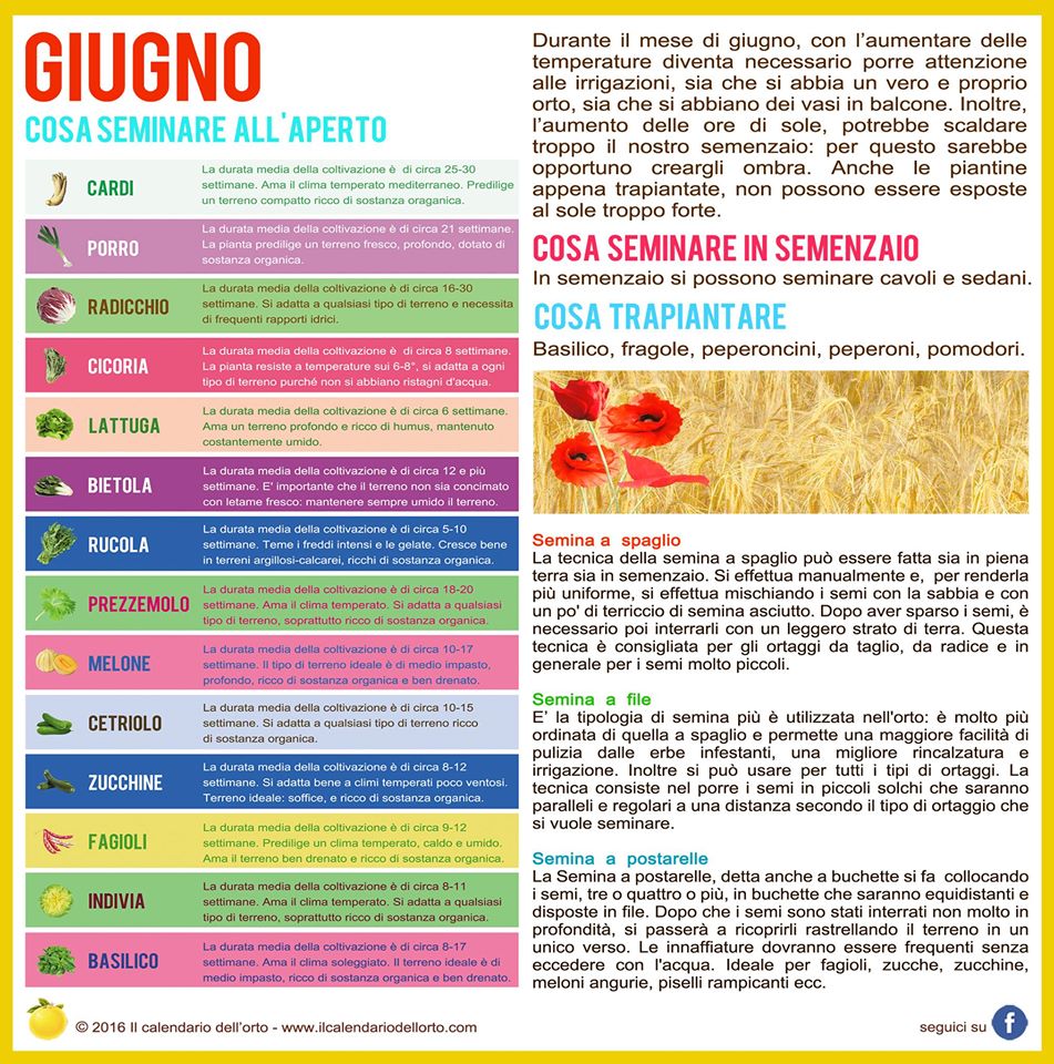 giugno