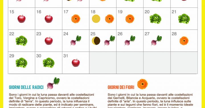 orto agosto