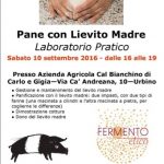 laboratorio pane