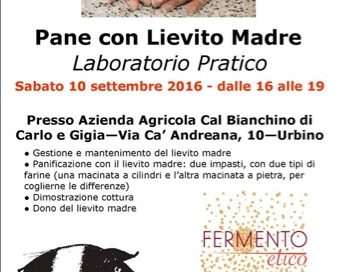 laboratorio pane