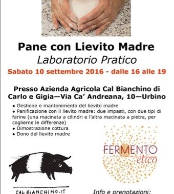 laboratorio pane