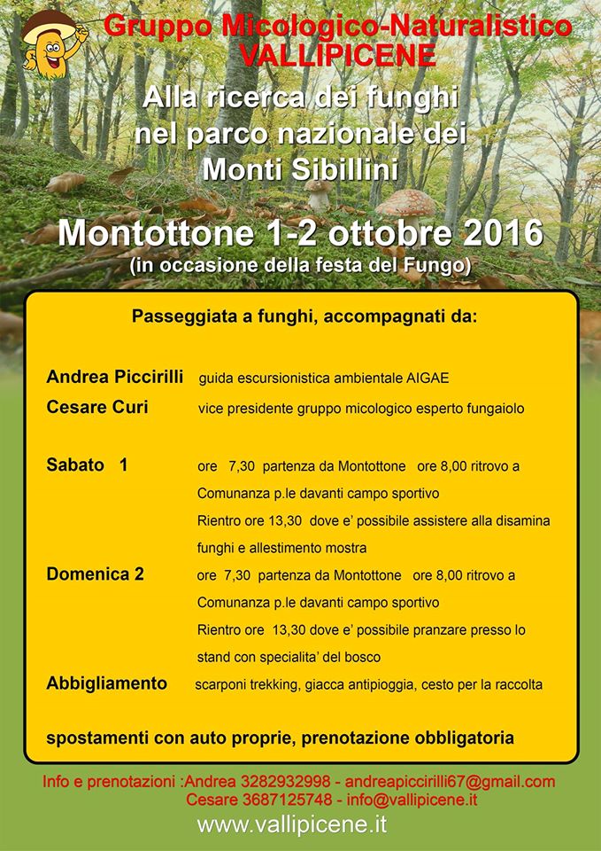 escursione micologica