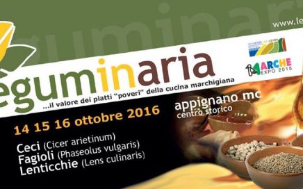 leguminaria