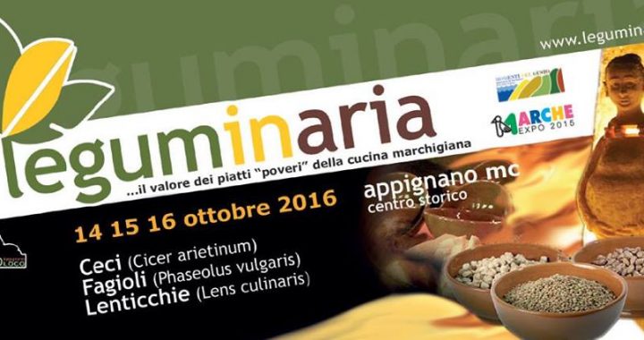 leguminaria