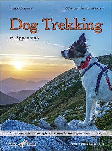 dogtrekking