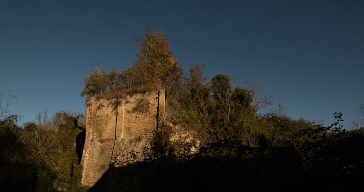 Collina Vecchia