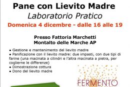 laboratorio pane con lievito madre