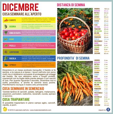 cosa seminare a dicembre