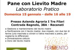 pane con lievito madre