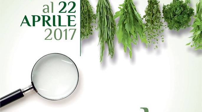 Corso riconoscimento erbe spontanee