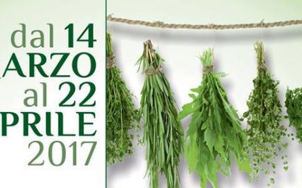 Corso riconoscimento erbe spontanee
