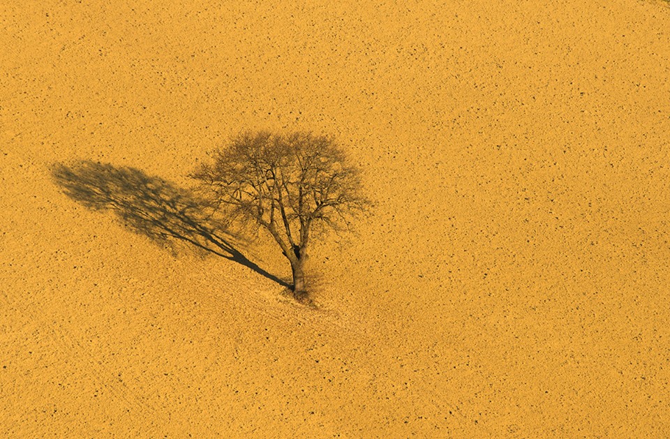 terra