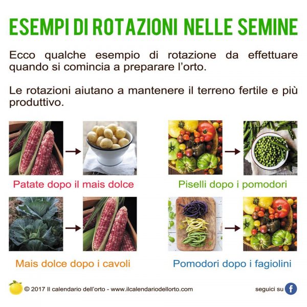 rotazione ortaggi