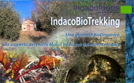 indacobiotrekking