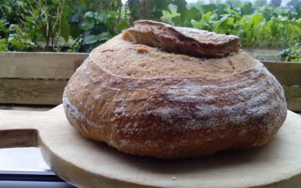 pane di Monica