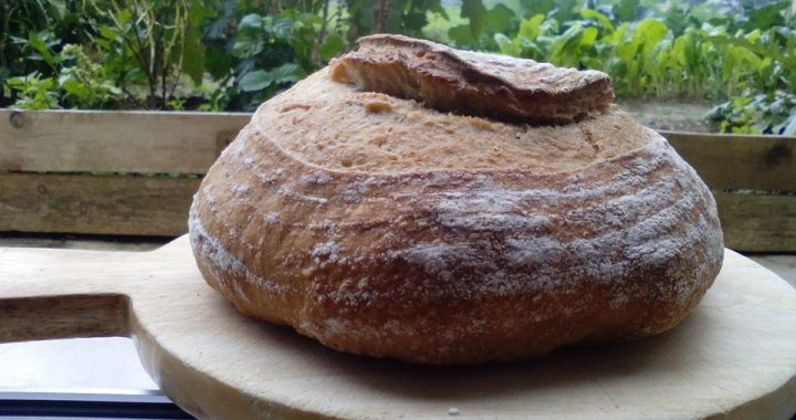 pane di Monica