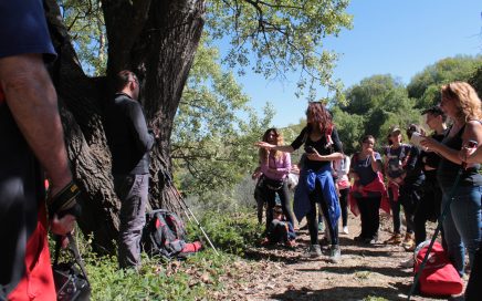 escursione campagne marchigiane