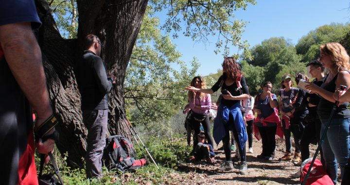 escursione campagne marchigiane
