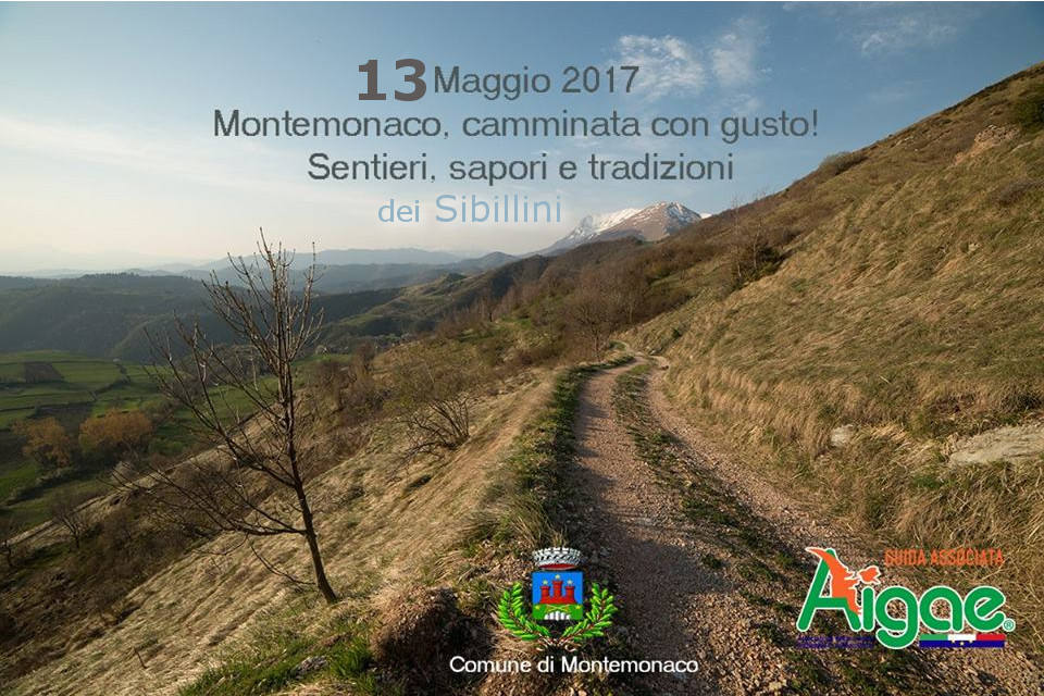 Montemonaco