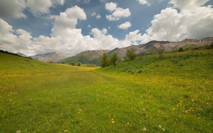 Earth Day Italia