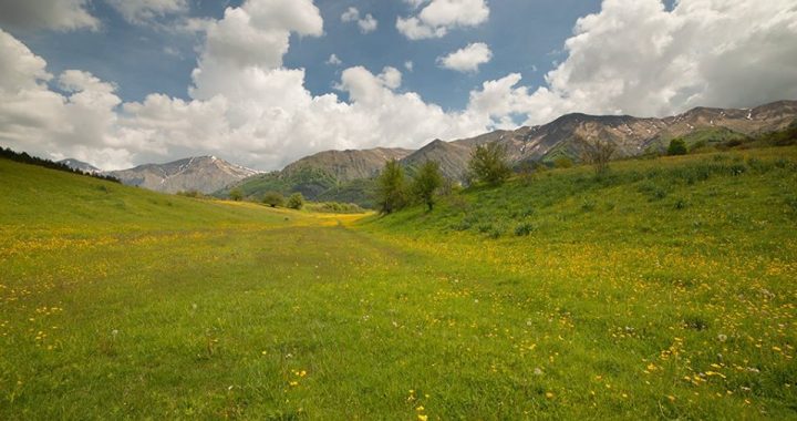 Earth Day Italia