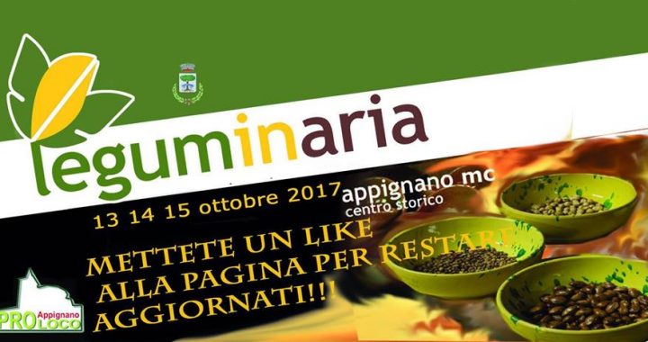 Leguminaria2017
